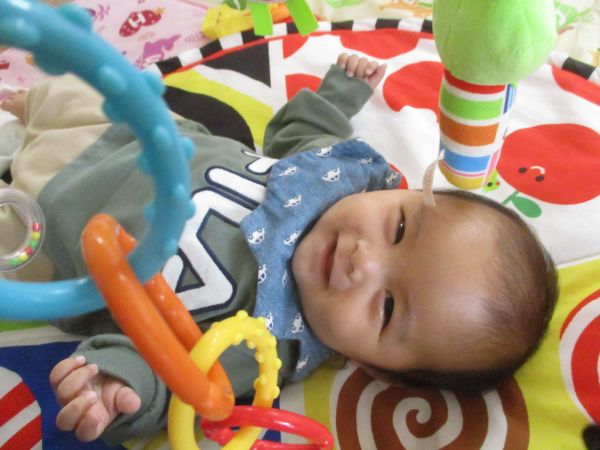 どれをニギニギして遊ぼうかな?(^^♪