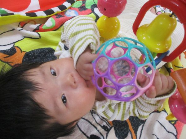 オーボールをニギニギして遊んだよ\(^o^)/