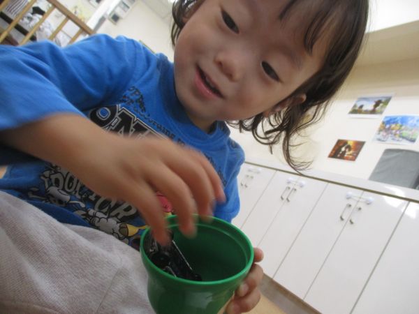 カプセルに車を入れてドヤァ