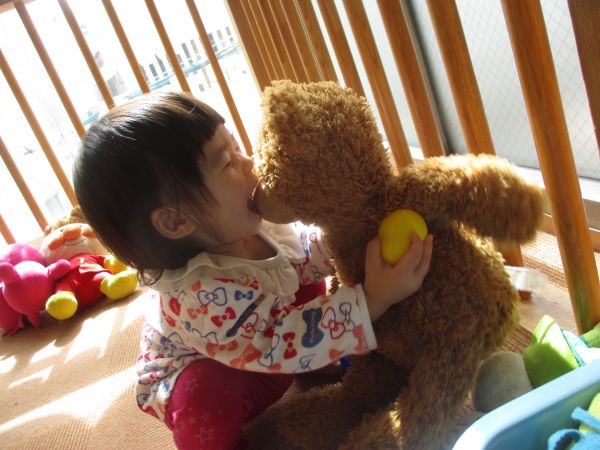 くまちゃん可愛いなー♡がぶっ(笑)