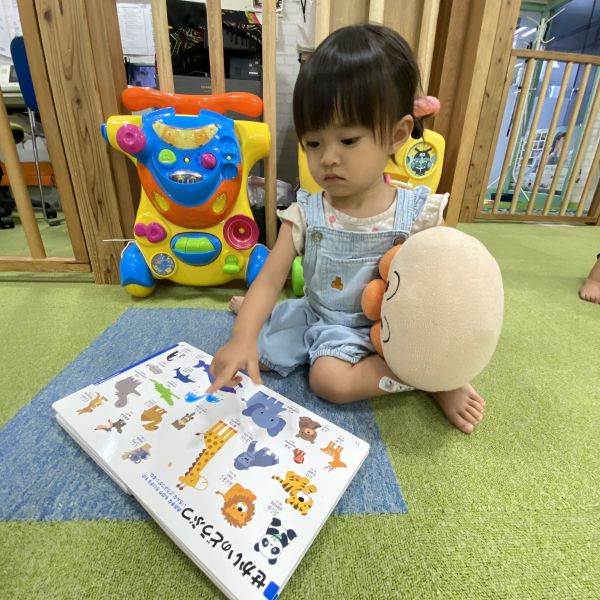 色んな動物がたくさんいるね🐘