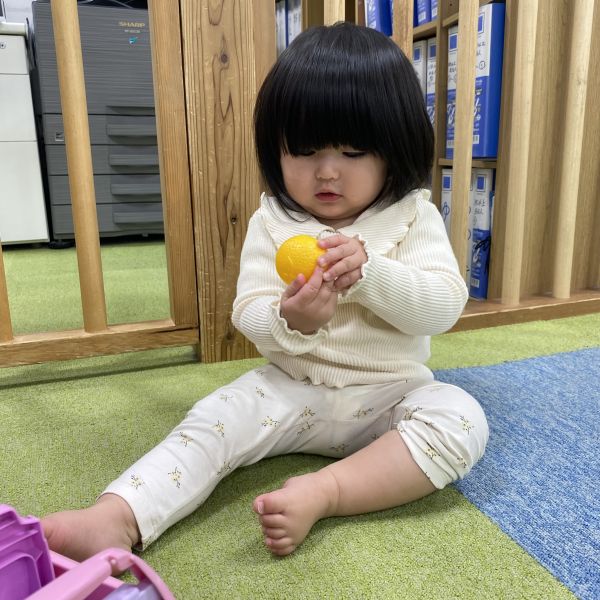 みかんをまじまじと🍊