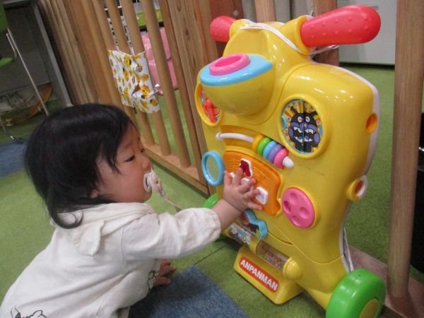 このボタン何かな~❓