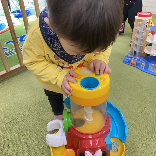 あれ?!ボールどこに行ったかな?ꉂꉂ🧸💓