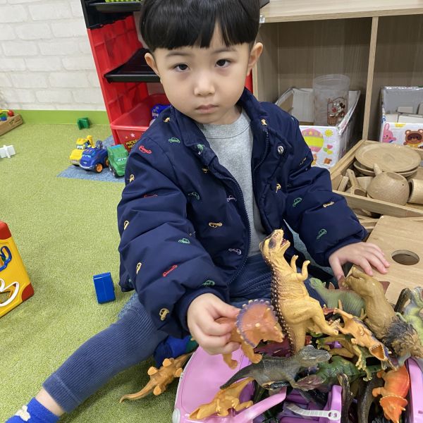 車に恐竜いっぱいのせたよ🦖🚘