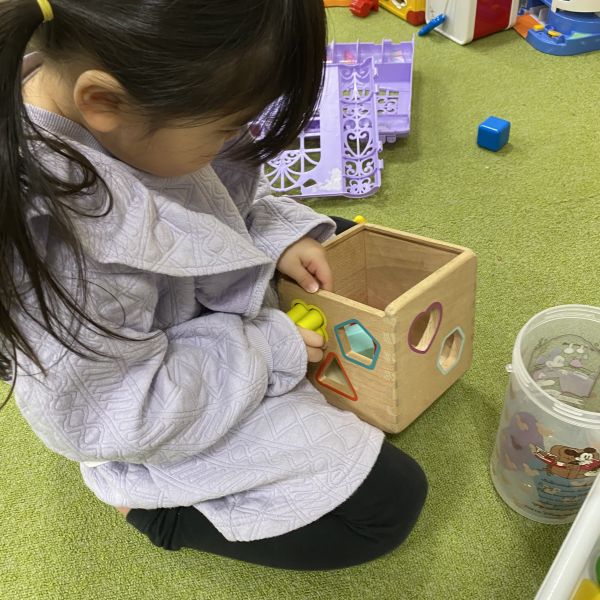 型はめブロックはいるかな❓