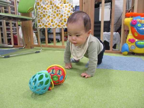 カラカラ~🎶まてまて~😊🥎