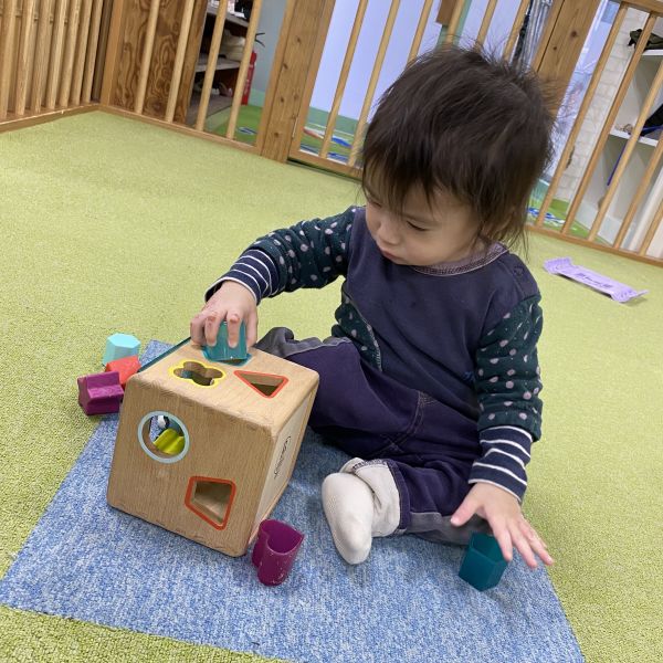 型はめブロックはいるかな~❓