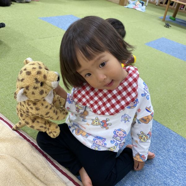 お気に入りのトラ🐅さん🎵