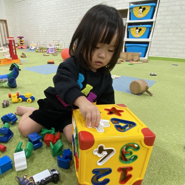 型はめブロックはいるかな❓