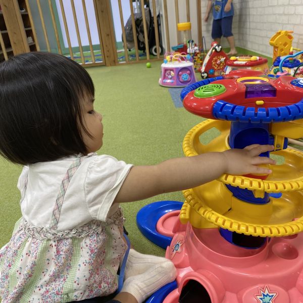 こちらはボールタワーに夢中💕