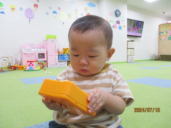 これなんだろ~?