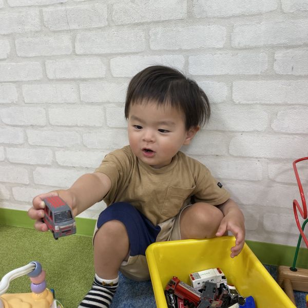 だいすき🚗ミニカー😆