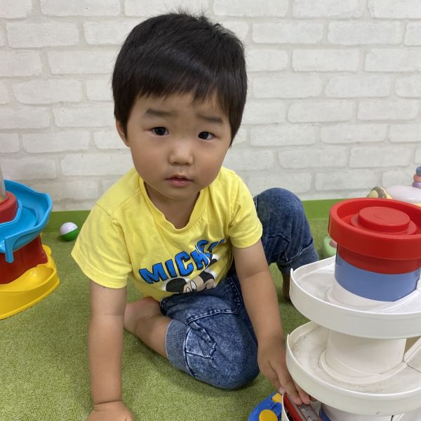 ミニカー、ぶーん🚗💨