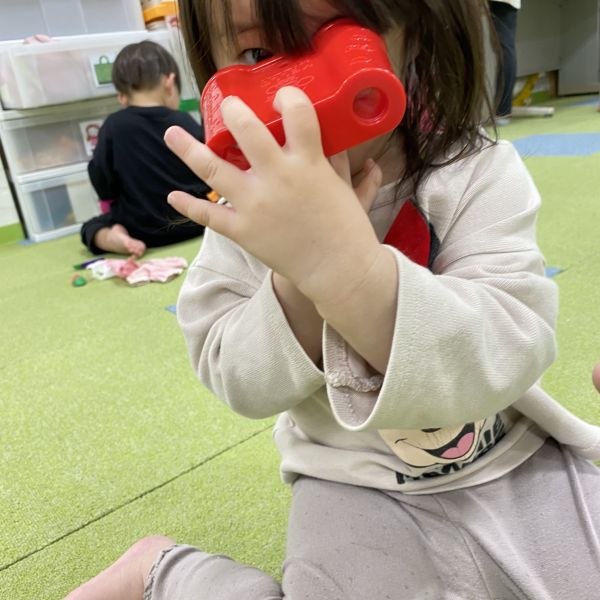 何が見えるかな〜?👀