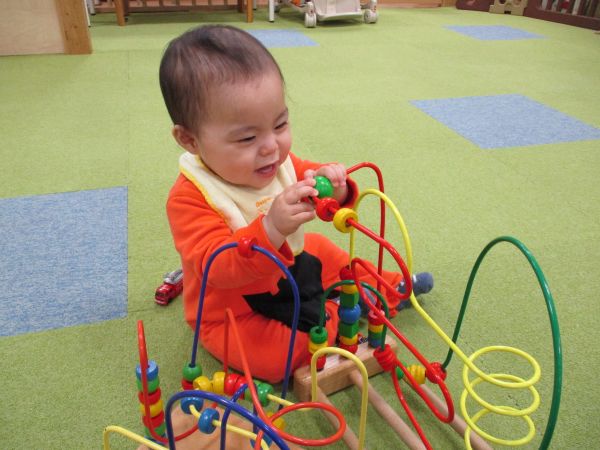 形と色をしっかり確かめてるね👀