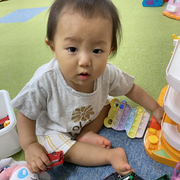 ミニカー、ぶーん🚗💨