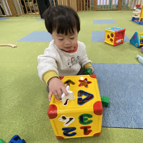 型はめブロックはいるかな❓