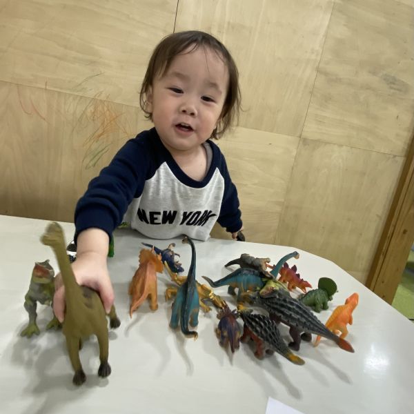 恐竜遊び楽しいね😊