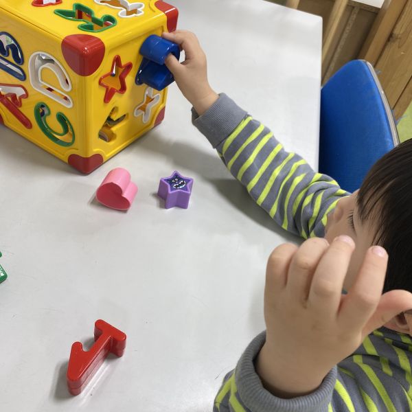 型はめブロックはいるかな❓