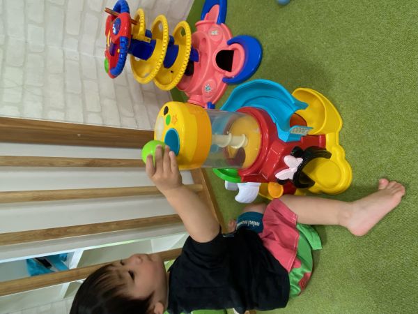 ボールタワーに夢中🥰