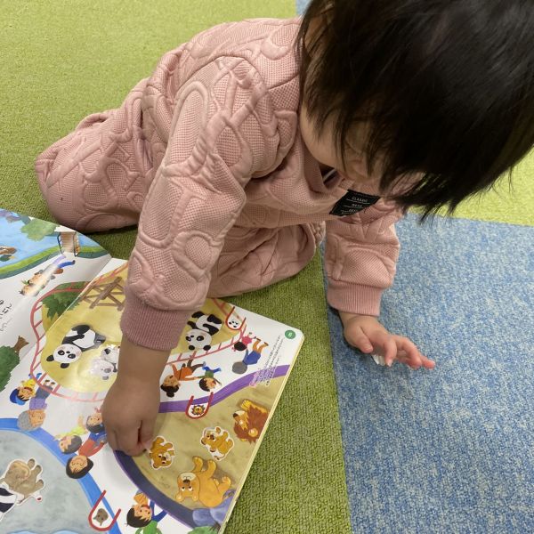 知ってる動物いるかな?🦁🐰