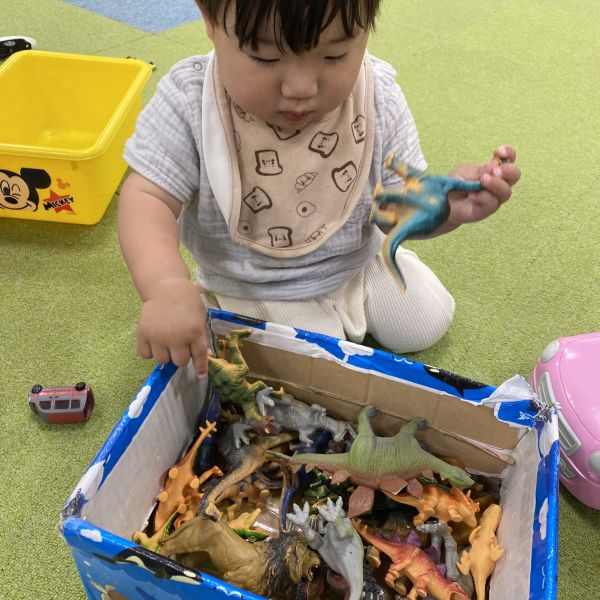 恐竜がたくさ~ん🦕