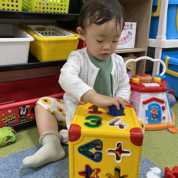 型はめブロックはいるかな❓