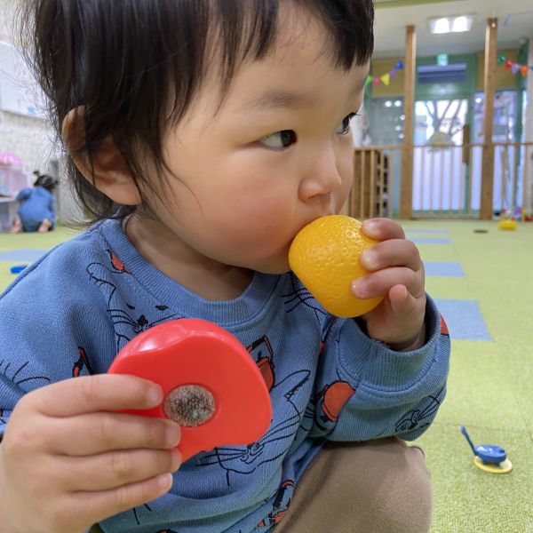 パクパクおいしいね🍊🍎