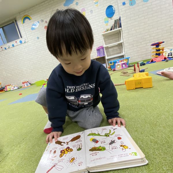 色んな昆虫がいるね🐞