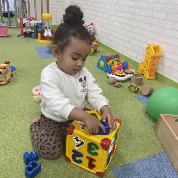 型はめブロックはいるかな❓